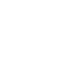 Nourish Your Gut From Within