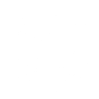 Rebalance Your Gut Microbiome